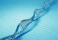 Dados genéticos, grandes matrizes e o glmnet()