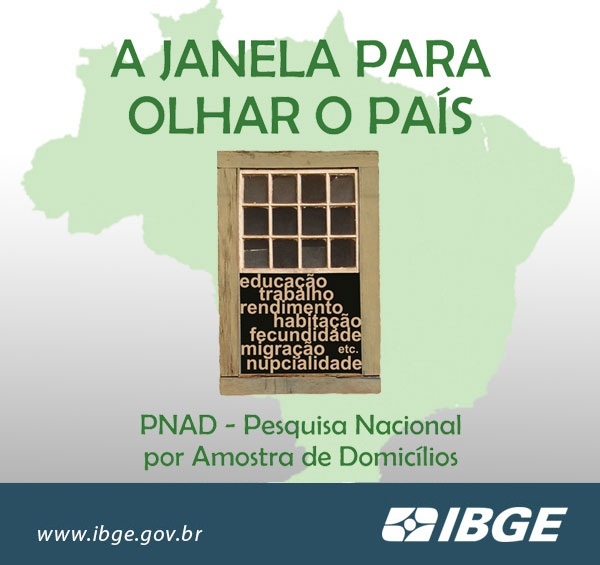 Leitura da PNAD 2013 com o R